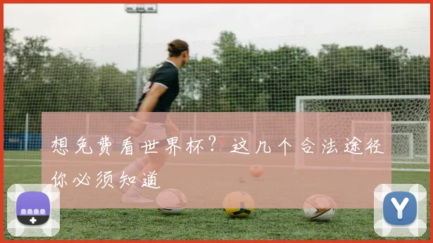想免费看世界杯？这几个合法途径你必须知道